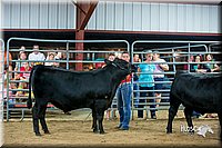 LCFair2016-5306.jpg