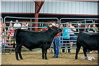 LCFair2016-5307.jpg