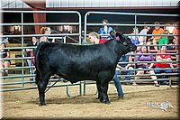 LCFair2016-5309.jpg