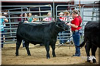 LCFair2016-5310.jpg