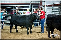 LCFair2016-5311.jpg