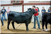 LCFair2016-5316.jpg