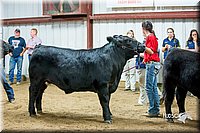 LCFair2016-5318.jpg