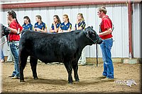 LCFair2016-5320.jpg