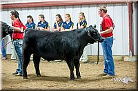 LCFair2016-5321.jpg