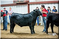 LCFair2016-5322.jpg