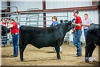 LCFair2016-5324.jpg