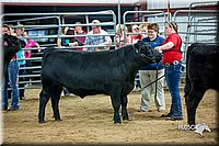 LCFair2016-5326.jpg