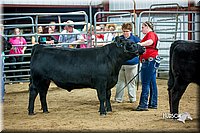 LCFair2016-5327.jpg