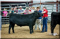 LCFair2016-5328.jpg