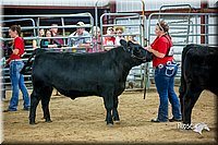 LCFair2016-5329.jpg