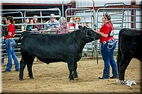 LCFair2016-5330.jpg