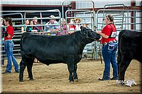 LCFair2016-5332.jpg