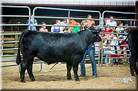 LCFair2016-5334.jpg