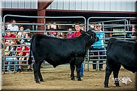 LCFair2016-5335.jpg