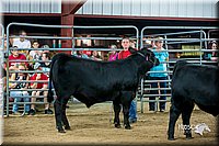 LCFair2016-5336.jpg