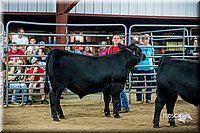 LCFair2016-5337.jpg