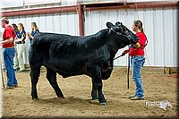 LCFair2016-5344.jpg