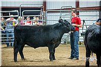 LCFair2016-5345.jpg