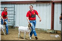 LCFair2016-5350.jpg