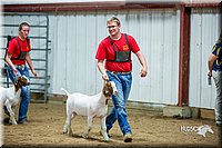 LCFair2016-5351.jpg