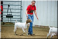 LCFair2016-5352.jpg