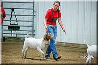 LCFair2016-5353.jpg