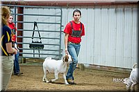 LCFair2016-5354.jpg