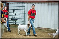 LCFair2016-5355.jpg