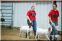 LCFair2016-5356.jpg