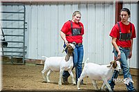 LCFair2016-5357.jpg