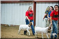 LCFair2016-5358.jpg