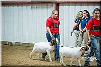 LCFair2016-5359.jpg