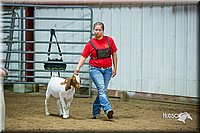 LCFair2016-5360.jpg