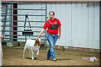 LCFair2016-5361.jpg