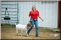 LCFair2016-5364.jpg