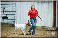 LCFair2016-5365.jpg