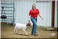 LCFair2016-5366.jpg