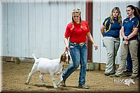 LCFair2016-5367.jpg