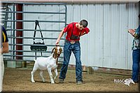 LCFair2016-5368.jpg