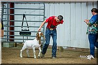 LCFair2016-5369.jpg