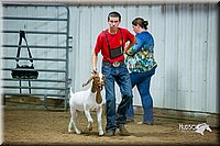 LCFair2016-5370.jpg