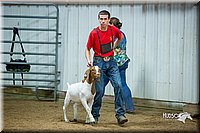 LCFair2016-5371.jpg