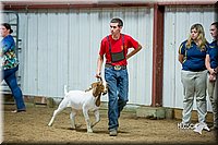 LCFair2016-5372.jpg