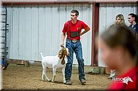 LCFair2016-5373.jpg