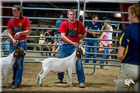 LCFair2016-5374.jpg