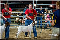 LCFair2016-5375.jpg