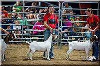 LCFair2016-5377.jpg