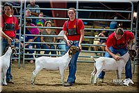 LCFair2016-5378.jpg