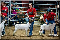 LCFair2016-5379.jpg